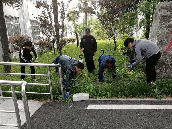 4.18杨庄司法所组织服刑人员开展公益劳动  助推美化街道办工作环境.jpg