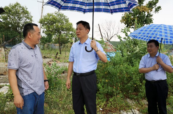 黄晓武书记赴烈山镇大走访大调研-梅月 摄-4.jpg